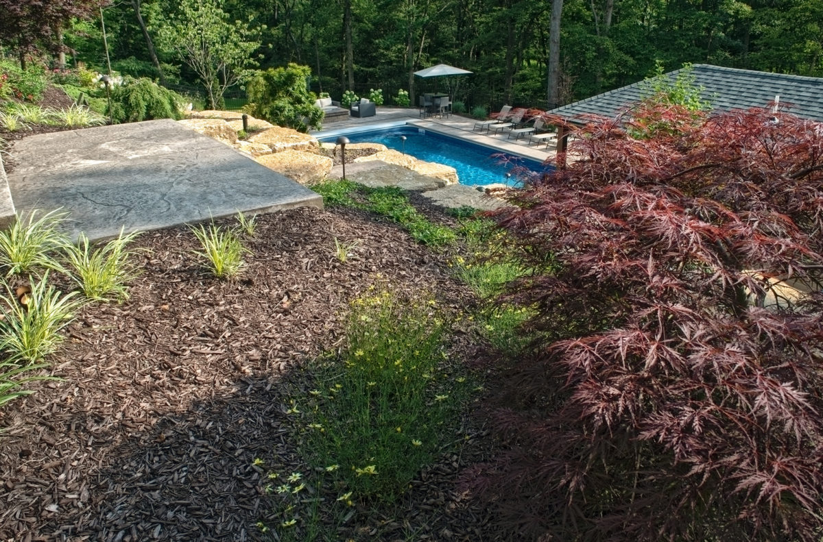 Luxury Backyard Built into a Hillside designed by Beall's Landscaping