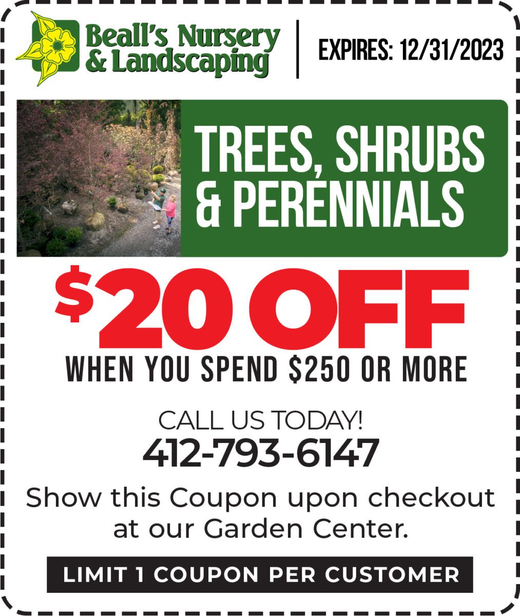 $20 OFF Trees, Shrubs, & Perennials