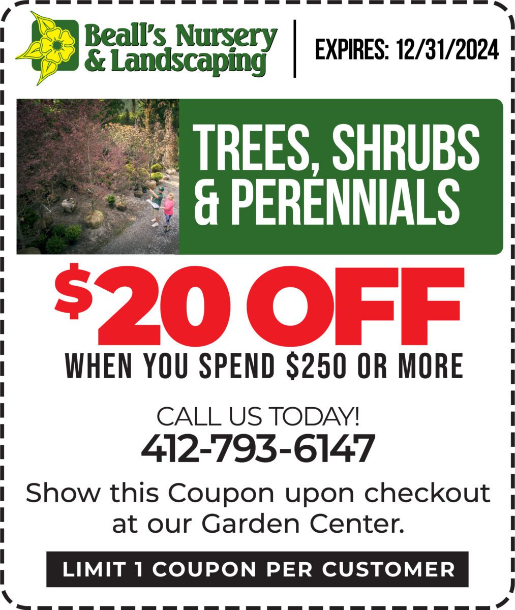 $20 OFF Trees, Shrubs, & Perennials